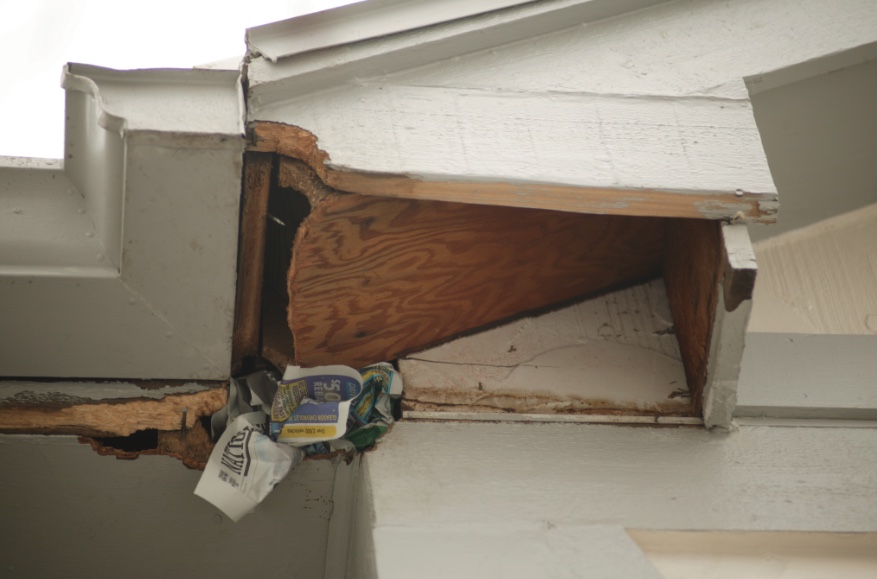 Newspaper loosely stuffed into hole in the soffit of a white house.