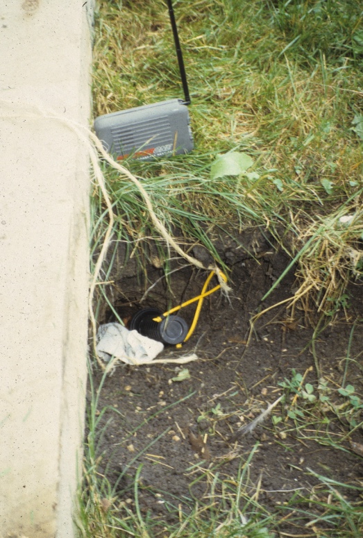 Red fox den with trash and feathers which serve as "toys" for the young foxes.
