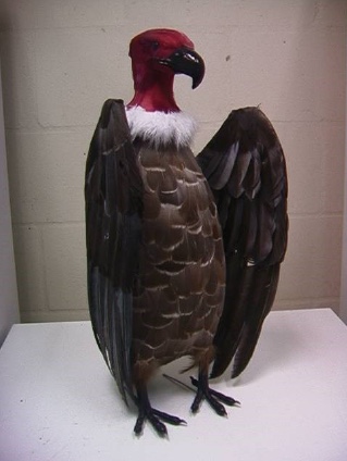 Commercially available turkey vulture statues can be used to disperse vultures from a roost site.
