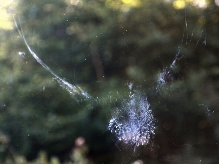 Image of a window that was struck by a bird.