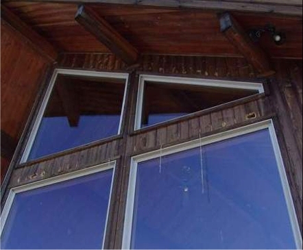 A Northern flicker (woodpecker) drilled multiple holes in the wood siding of this home.